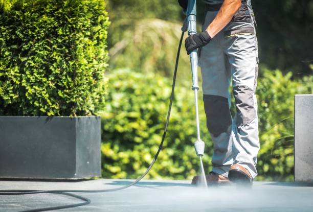 Best Solar Panel Cleaning  in East Franklin, NJ